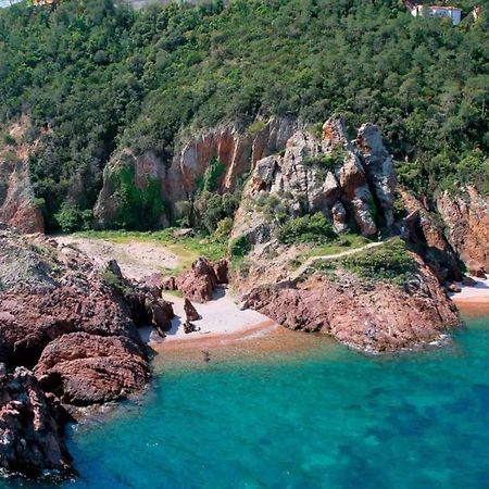 Rez De Jardin Au Calme Et Proche Mer Mandelieu 外观 照片