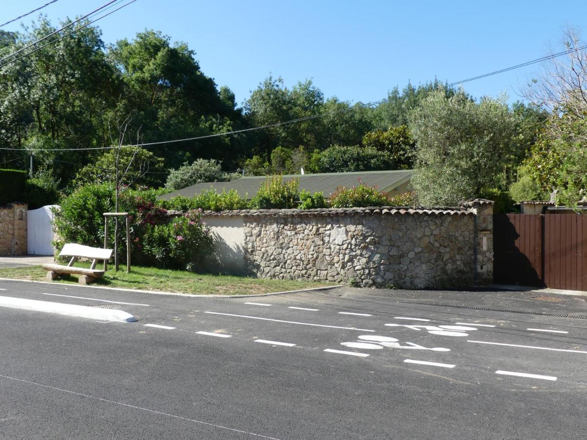 Rez De Jardin Au Calme Et Proche Mer Mandelieu 外观 照片