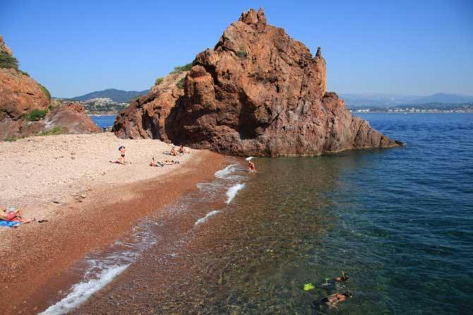 Rez De Jardin Au Calme Et Proche Mer Mandelieu 外观 照片
