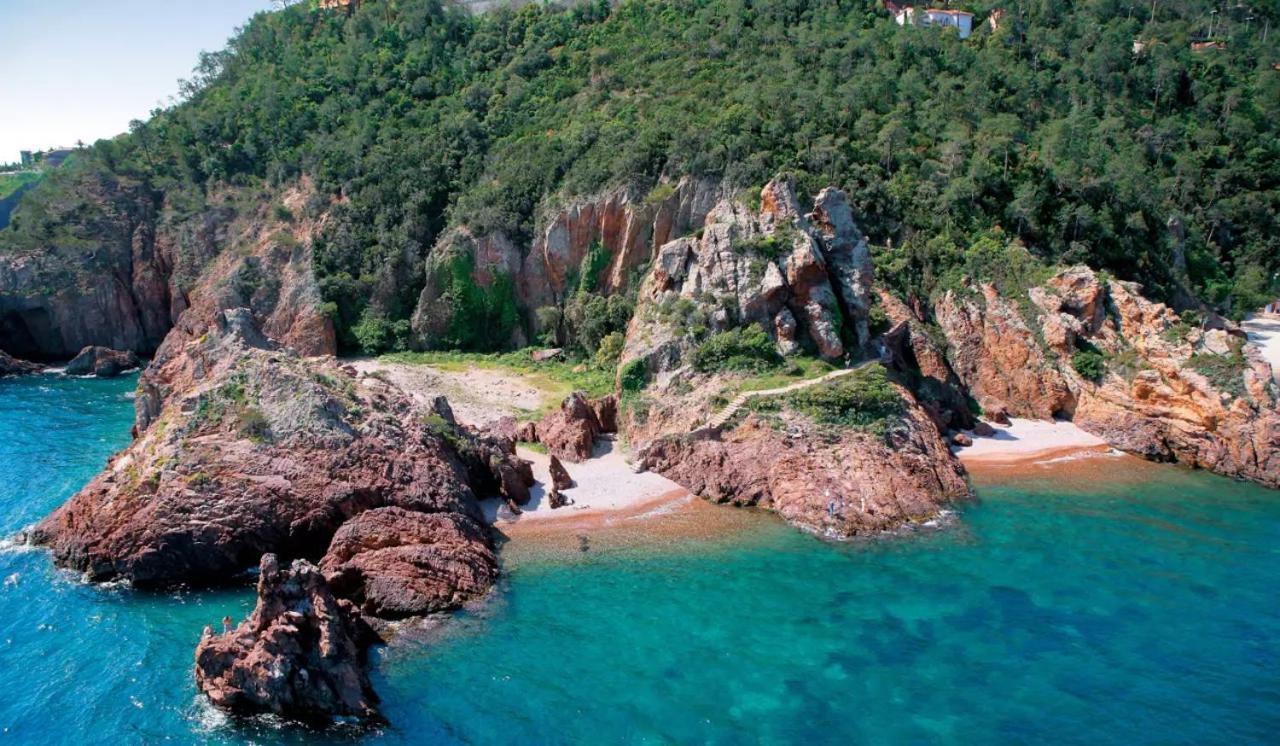 Rez De Jardin Au Calme Et Proche Mer Mandelieu 外观 照片